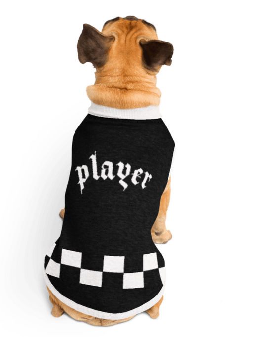 Girl's Best Friend Pet Sweater