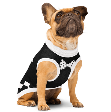 Girl's Best Friend Pet Sweater