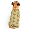 Girl's Best Friend Pet Sweater