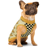 Girl's Best Friend Pet Sweater
