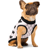 Girl's Best Friend Pet Sweater