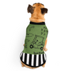 Girl's Best Friend Pet Sweater